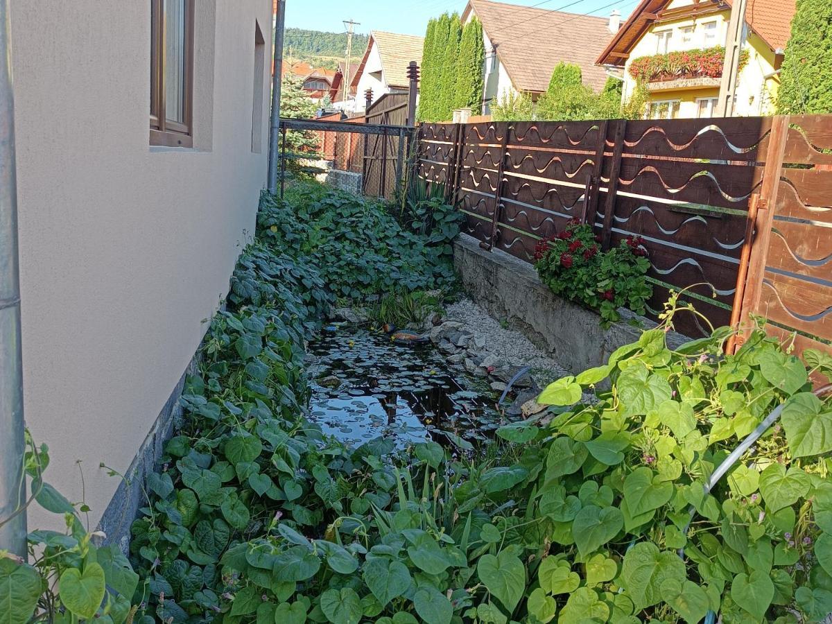 Narcisz B&B Corund  Εξωτερικό φωτογραφία