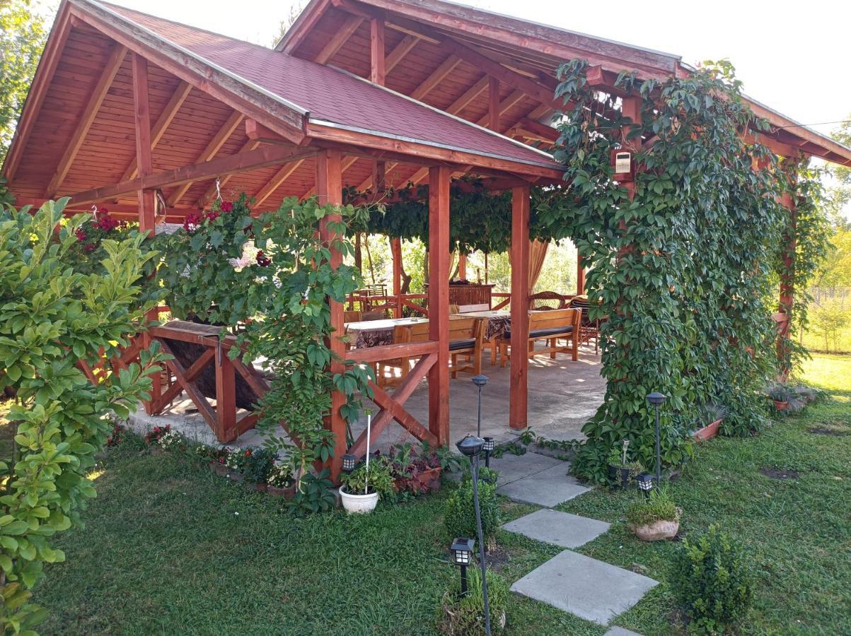 Narcisz B&B Corund  Εξωτερικό φωτογραφία