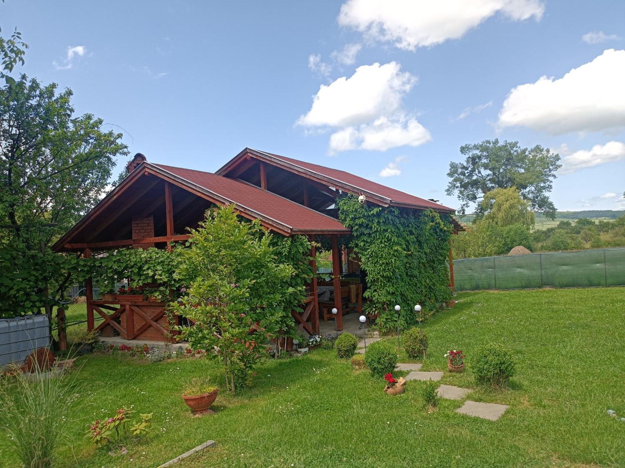 Narcisz B&B Corund  Εξωτερικό φωτογραφία