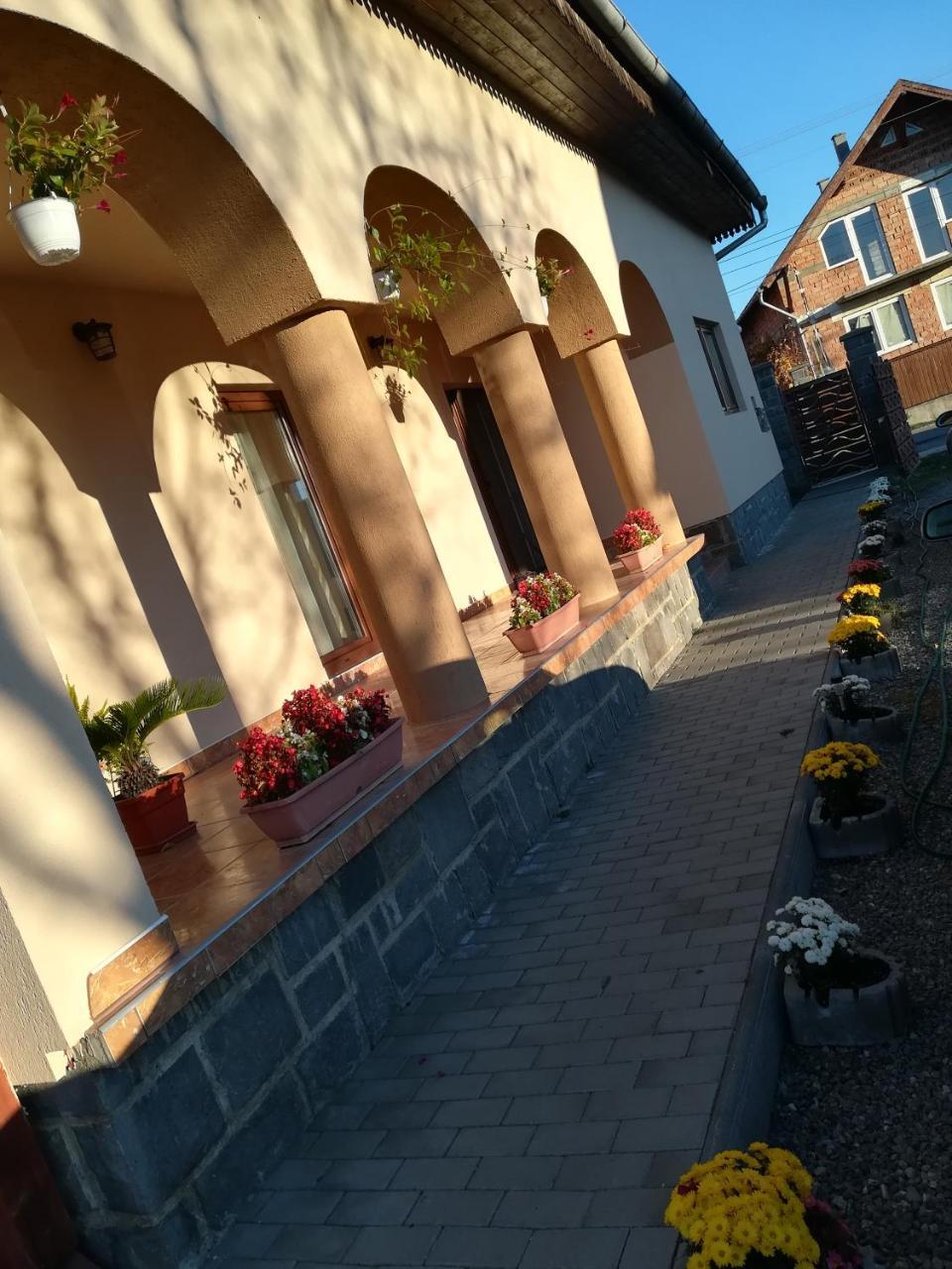 Narcisz B&B Corund  Εξωτερικό φωτογραφία
