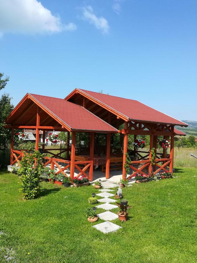 Narcisz B&B Corund  Εξωτερικό φωτογραφία